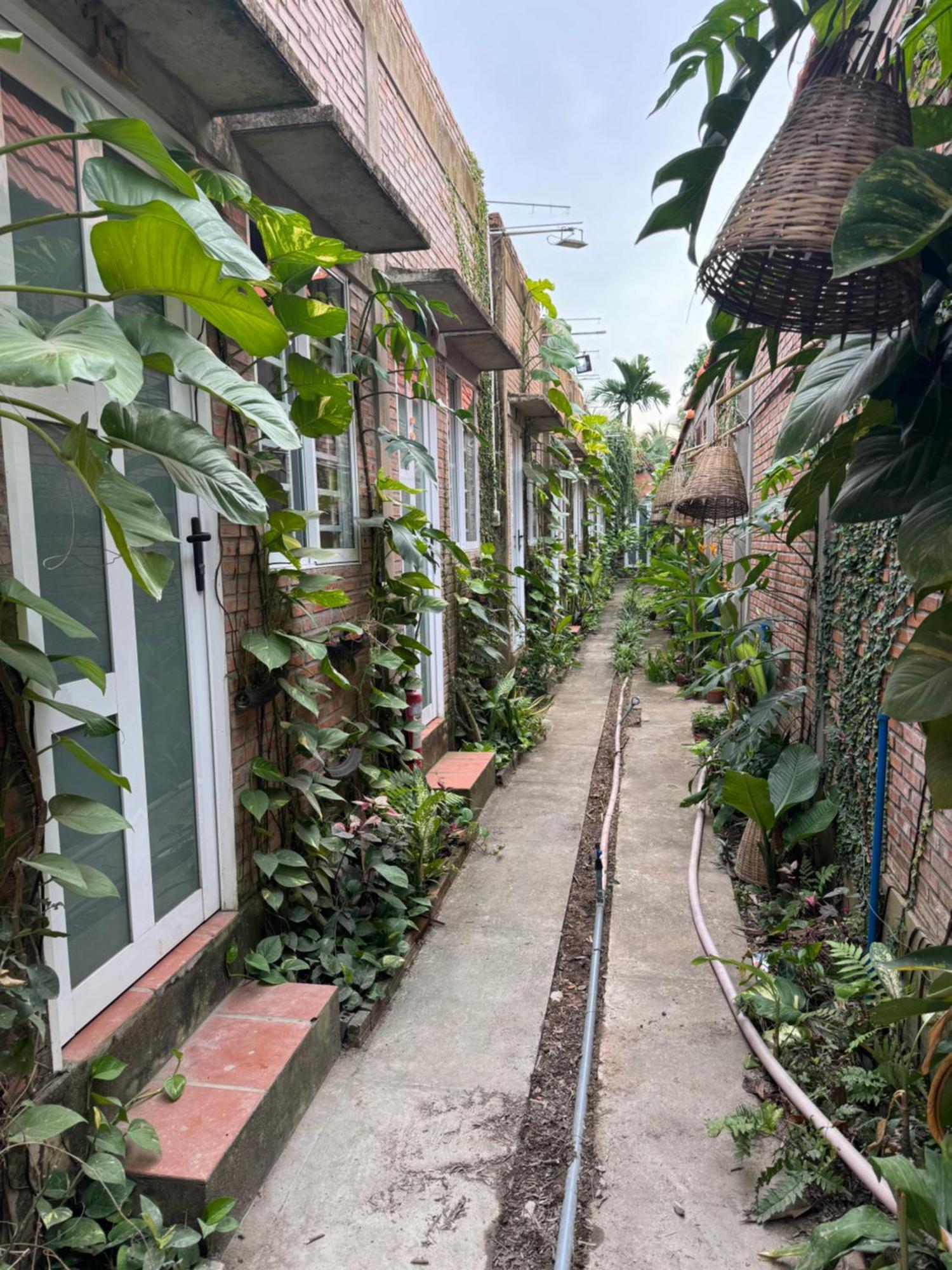 Bau Bi Mini Farmstay Mekong - Tien Giang My Tho Exterior photo